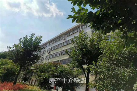 羊山新区东方今典·中央城3室2厅1卫83万111m2出售